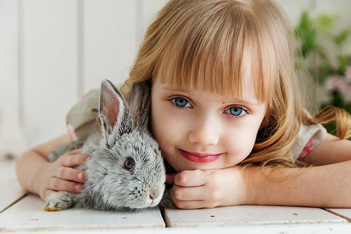 Také zvířata mohou onemocnět