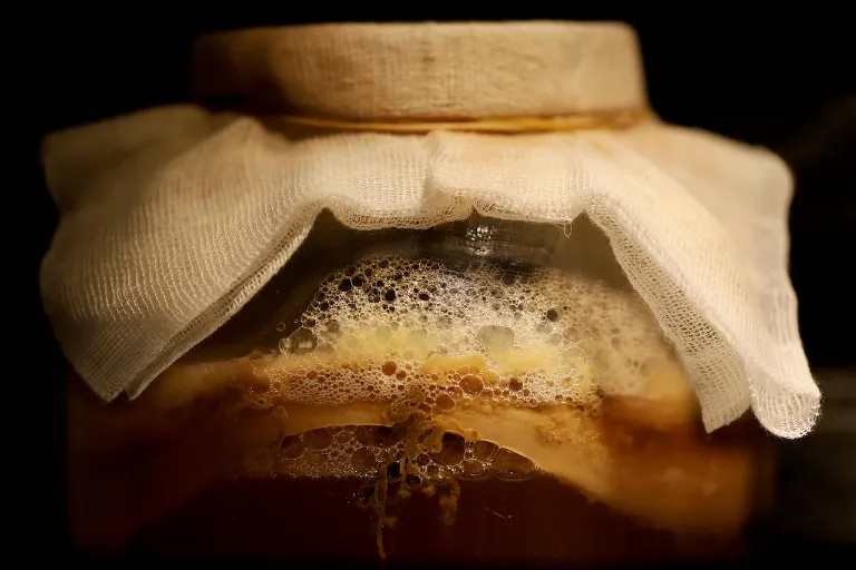 Co je to kombucha a&nbsp;její blahodárné účinky na vaše zdraví