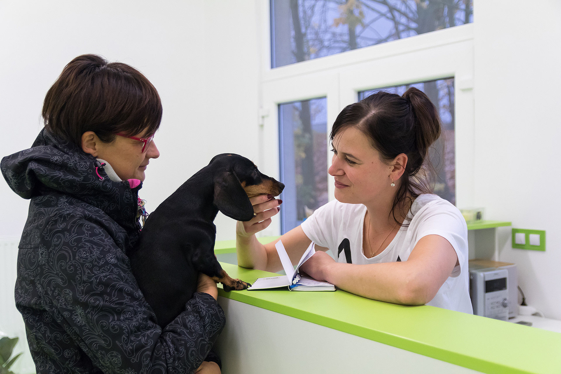 Spolehlivý veterinář zajistí dostupnou péči o&nbsp;vašeho mazlíčka a&nbsp;uleví od stresu i&nbsp;vám. Jak ho najít?